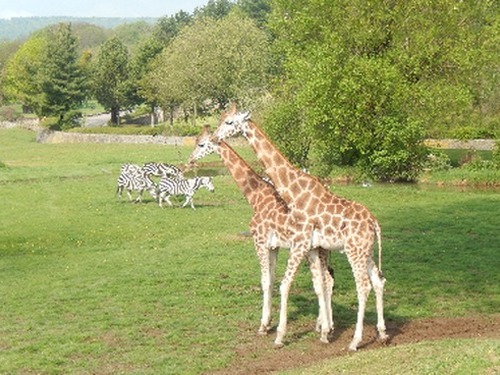Zážitky ze ZOO