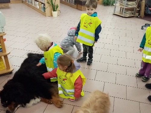 Den zvířat v knihovně
