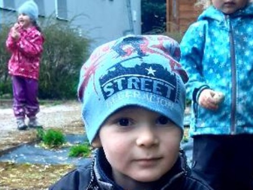 Sázení brambor