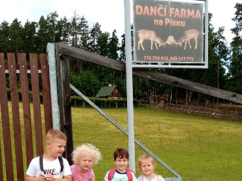 Výlet k daňkům a muflonům