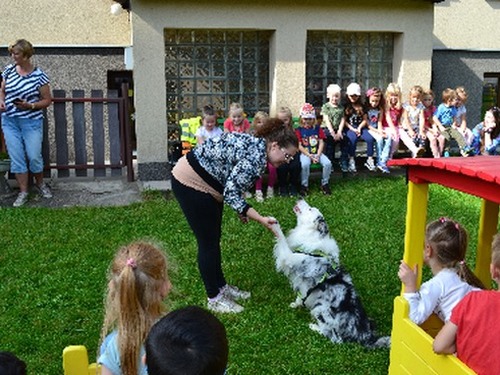 Dog dancing v Jaromíru