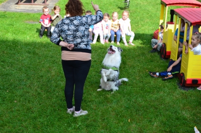 Fotografie