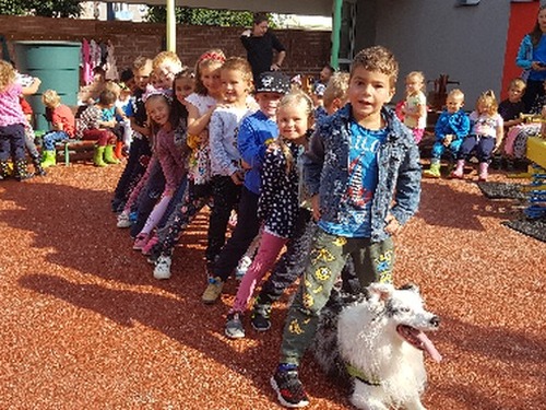 Dogdancing v MŠ