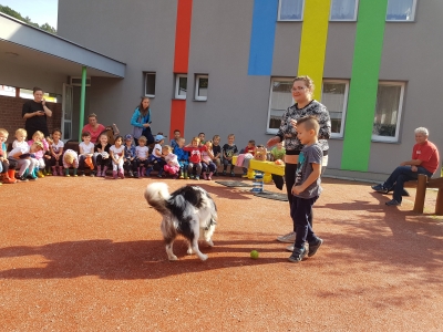 Fotografie