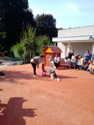 Fotografie