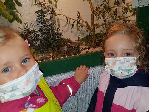 Výstava ptactva a návštěva svatoňovického muzea