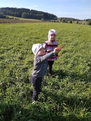 Fotografie