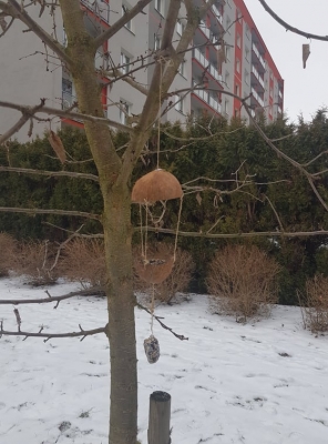 Fotografie