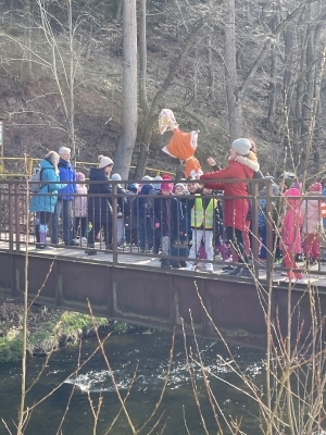 Fotografie