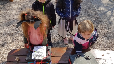 Fotografie