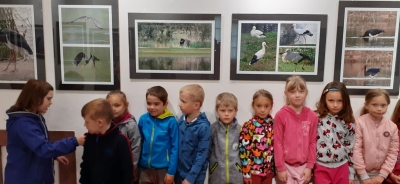 Fotografie