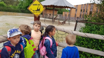 Fotografie