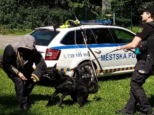 Setkání s městskou policií