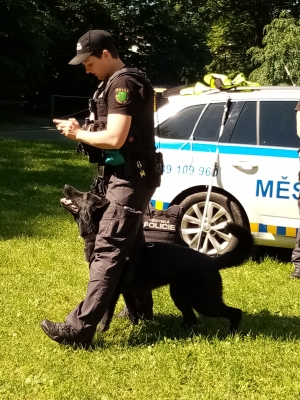 Fotografie