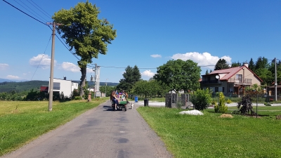 Fotografie