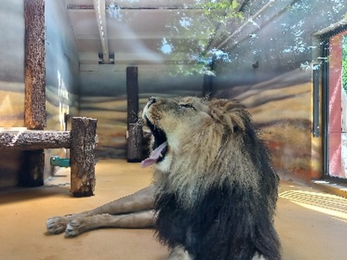 ZOO