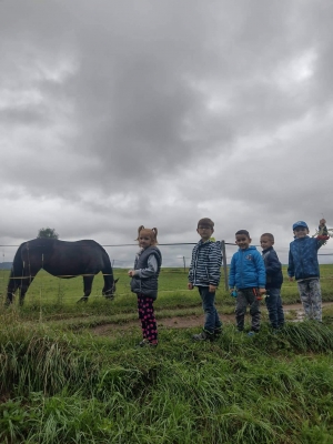 Fotografie