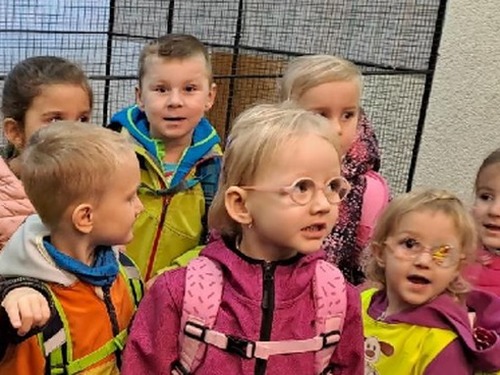 Výstava okrasného ptactva ve Rtyni v P.