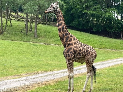 Návštěva Zoo