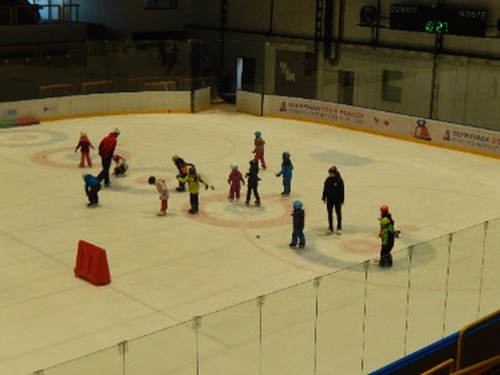 Bruslaři