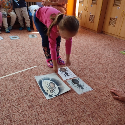 Fotografie