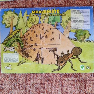 Fotografie