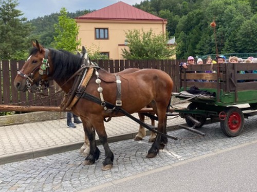 Výlet s koňmi na Vízmburk