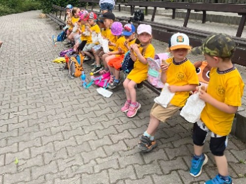 Výlet do ZOO Dvůr Králové