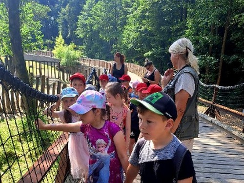 Výlet do ZOO ve D. Králové