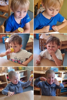 Fotografie