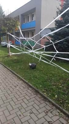 Fotografie