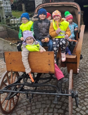 Fotografie