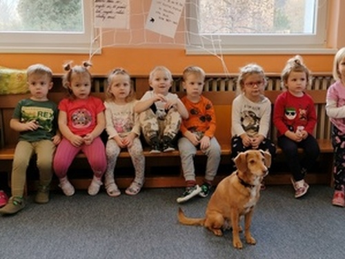 Noční ZOO - představení s pejskem.