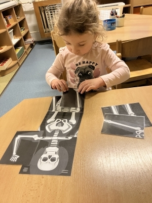Fotografie