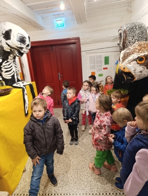Fotografie