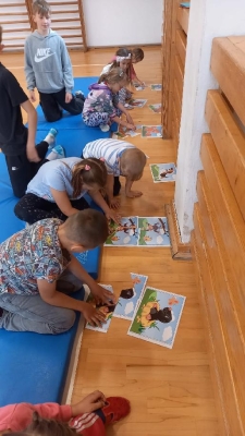 Fotografie