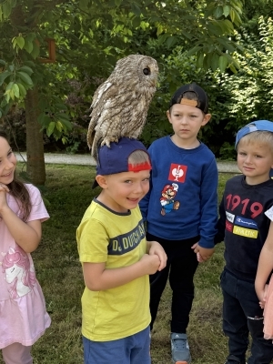 Fotografie