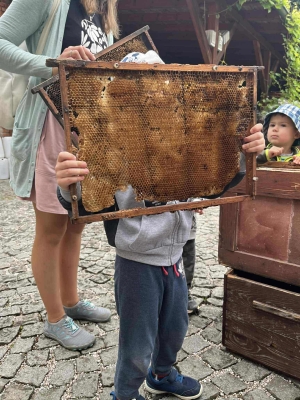 Fotografie