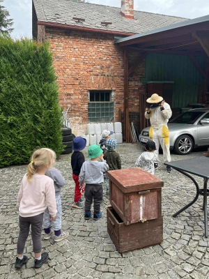 Fotografie