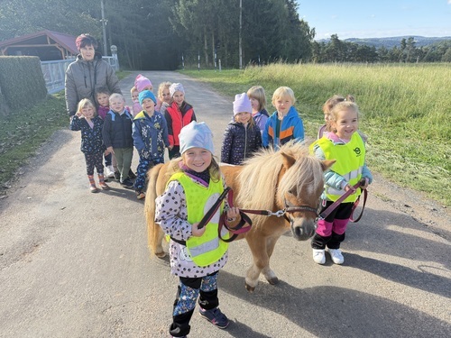 Návštěva poníků