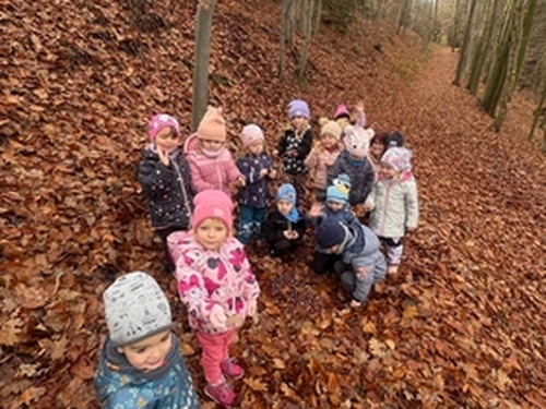 Listopad u Motýlků