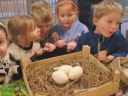 Jarní výstava zvířat