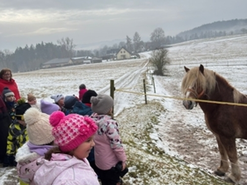 Únor v Kopretinách 