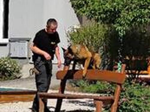 Psovodi - policie 