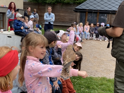 Fotografie
