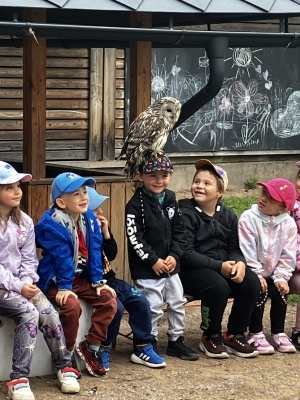 Fotografie